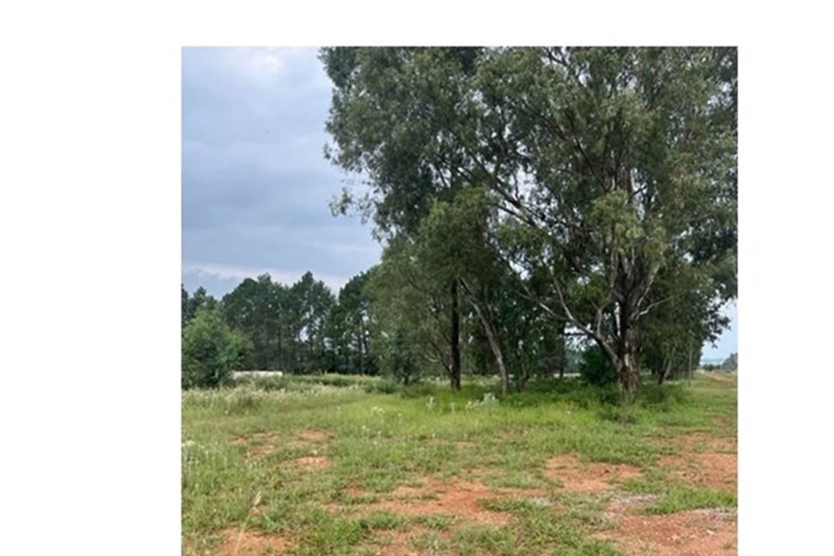 Large vacant corner stand - Photo 2