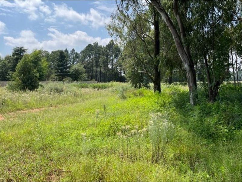 Large vacant corner stand - Photo 4