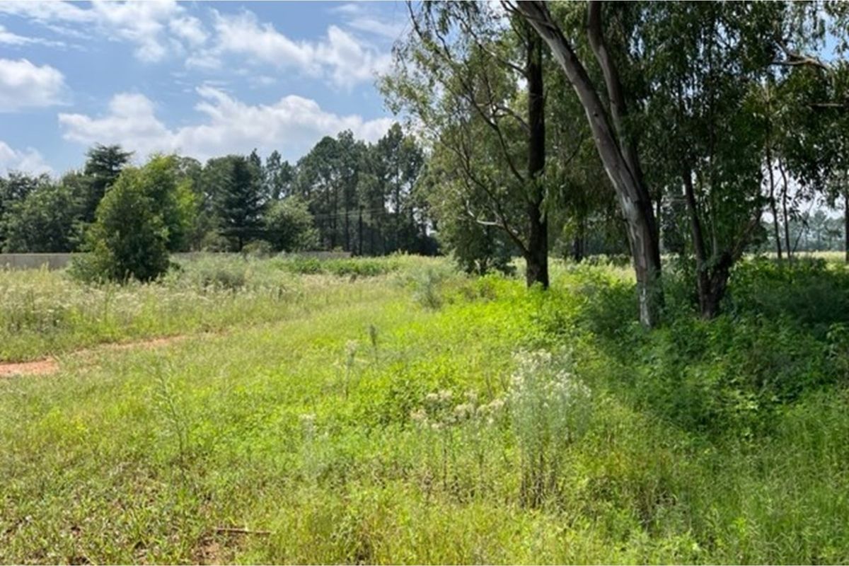 Large vacant corner stand - Photo 4