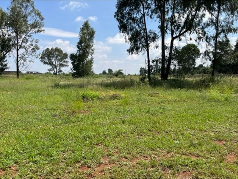 Large vacant corner stand - Photo 5