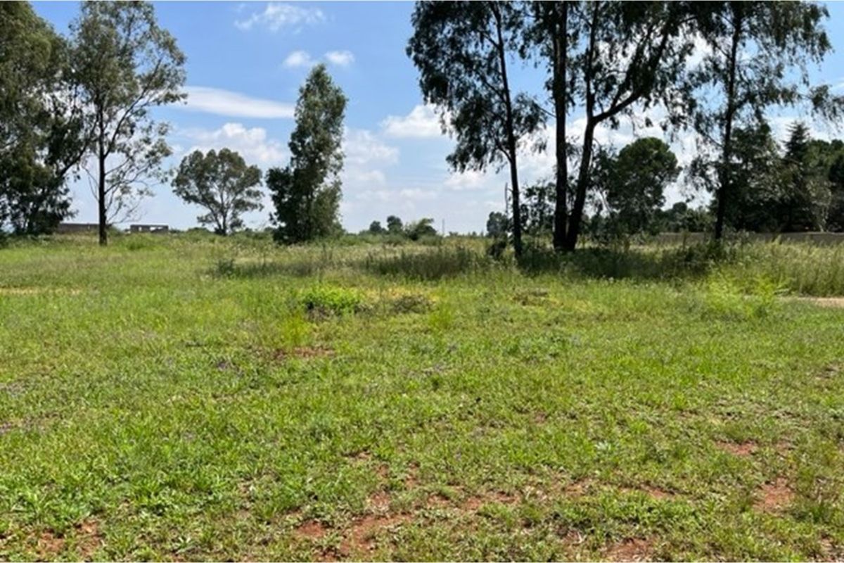 Large vacant corner stand - Photo 5