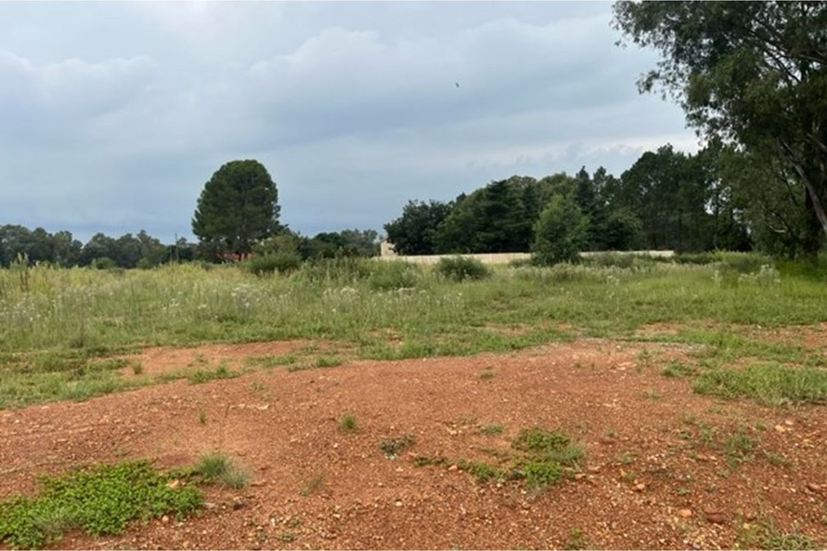 Large vacant corner stand - Photo 3