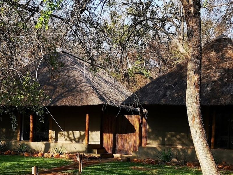 6612HA Game Farm Investment - Near Kruger National Park and Leopard Creek Golf - Photo 10