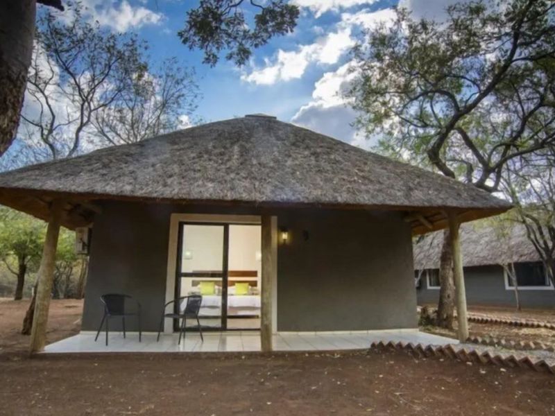 6612HA Game Farm Investment - Near Kruger National Park and Leopard Creek Golf - Photo 8