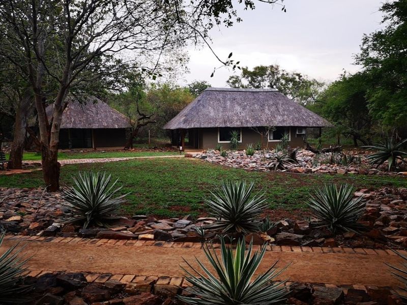 6612HA Game Farm Investment - Near Kruger National Park and Leopard Creek Golf - Photo 7