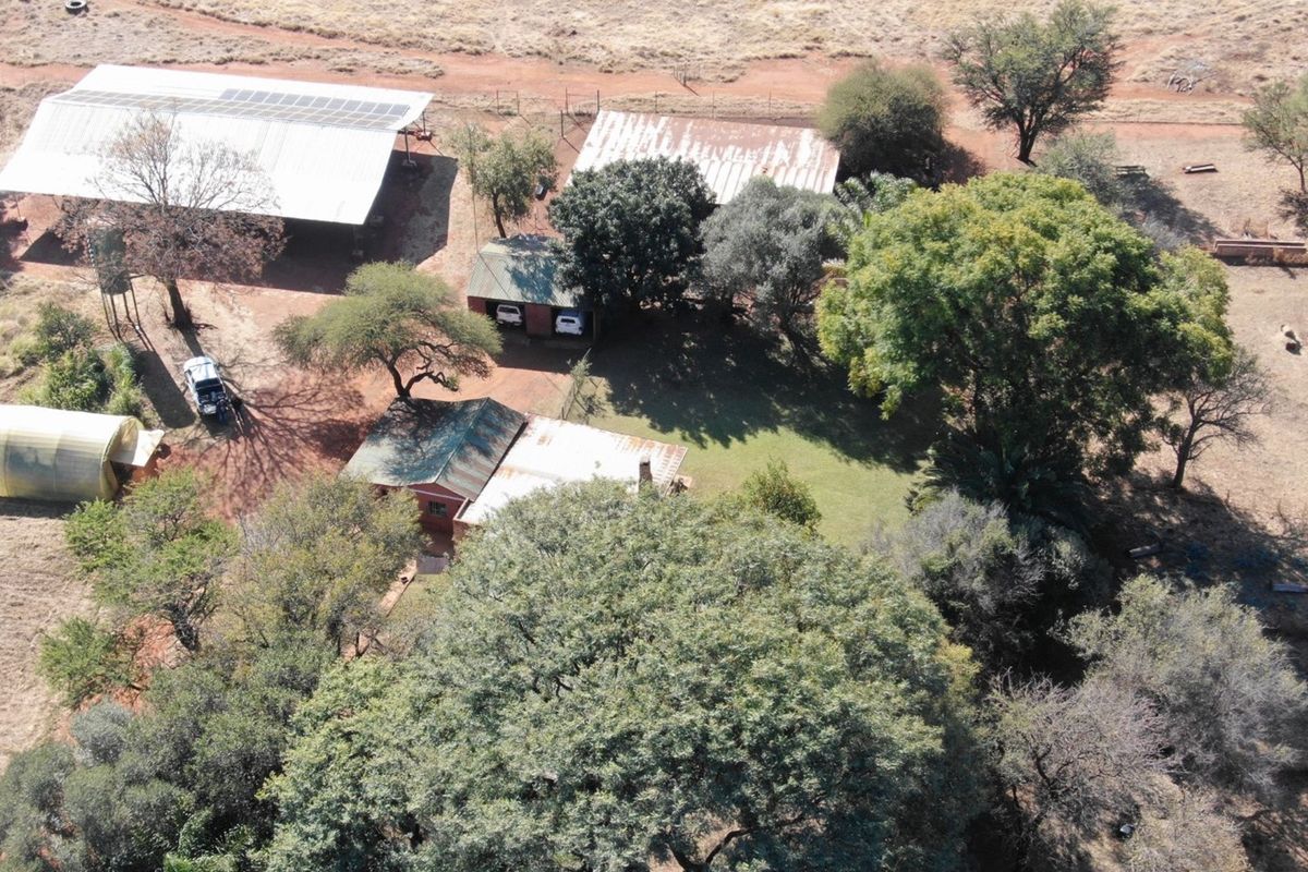 19 Hectare Farm for Sale - Prime Agricultural land. Buy the business not only the land. - Photo 2