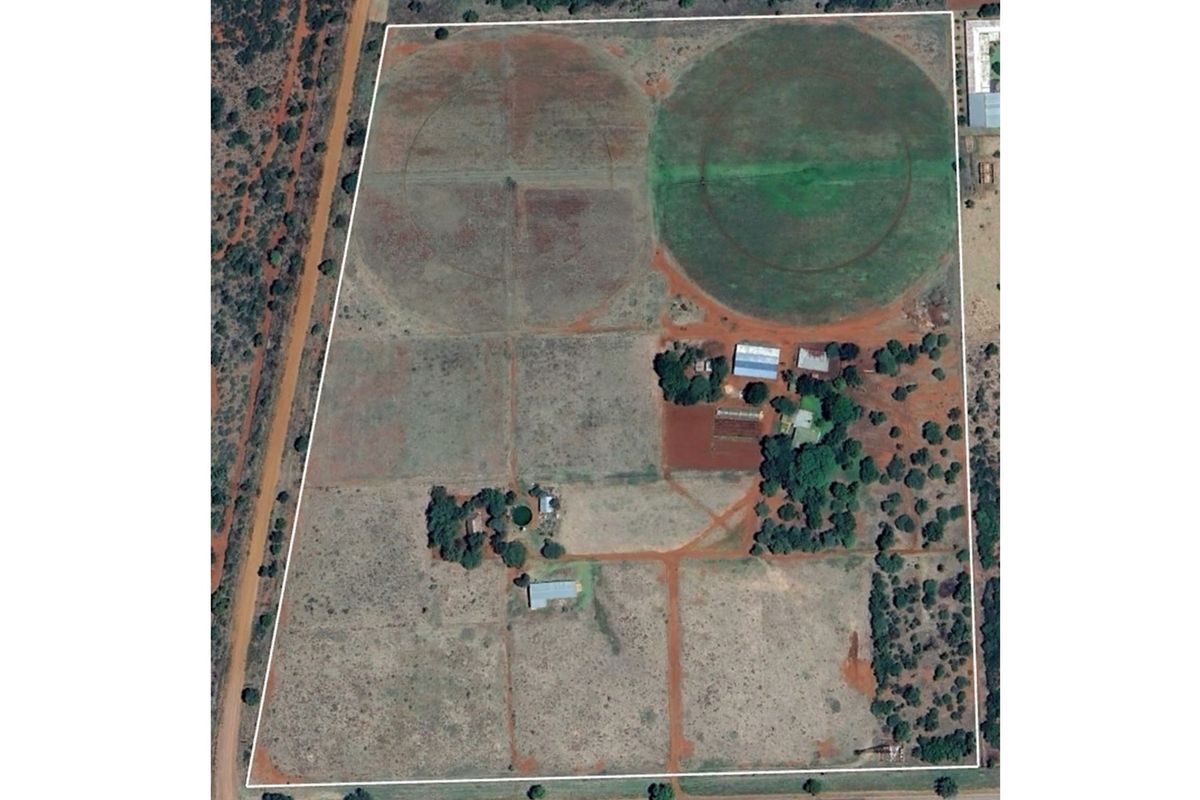 19 Hectare Farm for Sale - Prime Agricultural land. Buy the business not only the land. - Photo 3