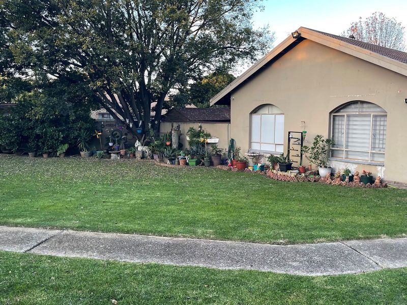 A view of the rear garden featuring a lawn area, mature trees, and a single-story house exterior with arched window detailing.