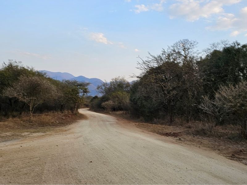 A scenic view of a dirt road winding through a natural landscape with surrounding trees and distant mountains.