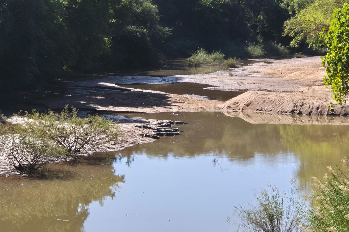 Beautifull plot in Elephant Rock Eco Estate with view over Balule Game Reserve. Urgent sale . - Photo 2