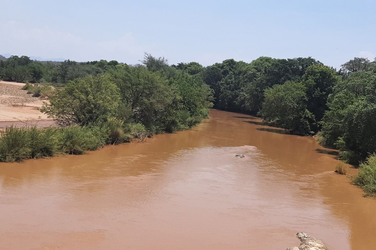 Beautifull plot in Elephant Rock Eco Estate with view over Balule Game Reserve. Urgent sale . - Photo 5