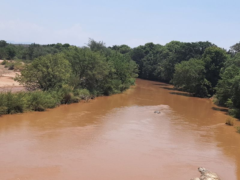 Beautifull plot in Elephant Rock Eco Estate with view over Balule Game Reserve. Urgent sale . - Photo 5