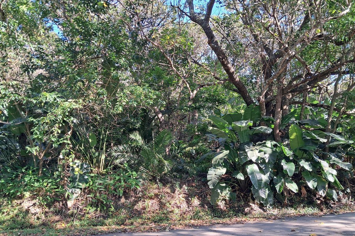 MARINE BEACH , EXCELLENT LOCATION , VACANT LAND IN MARINE BEACH, - Photo 5