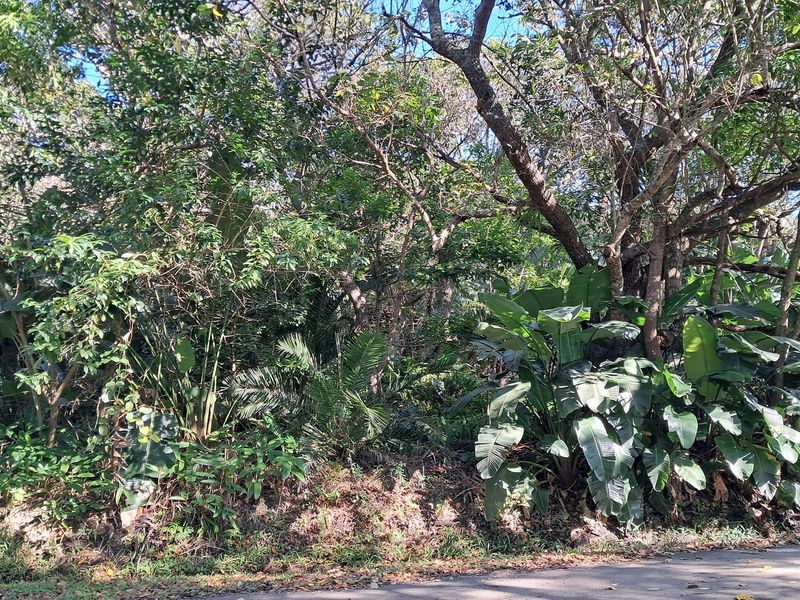 MARINE BEACH , EXCELLENT LOCATION , VACANT LAND IN MARINE BEACH, - Photo 5