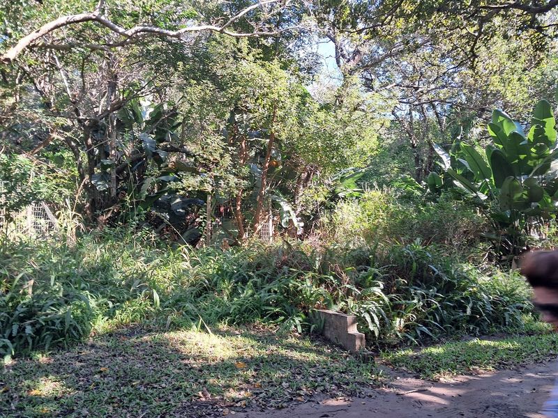 MARINE BEACH , EXCELLENT LOCATION , VACANT LAND IN MARINE BEACH, - Photo 9