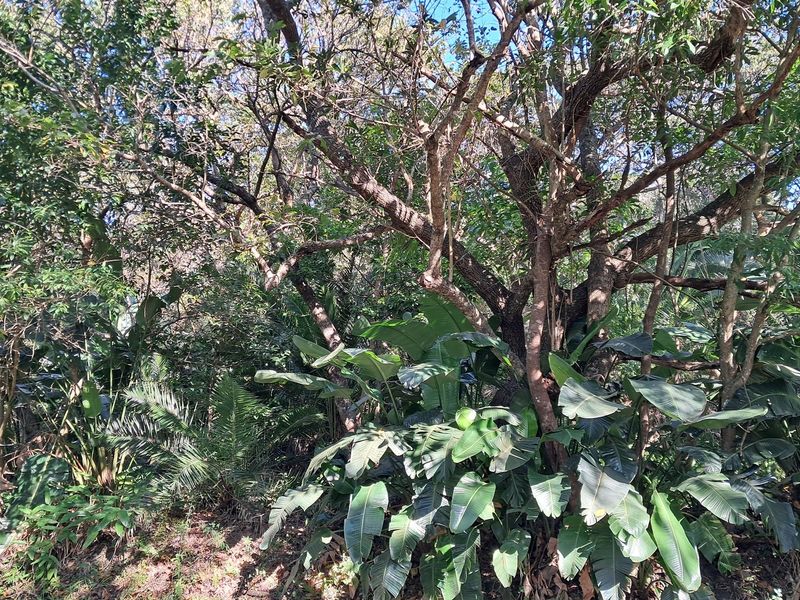 MARINE BEACH , EXCELLENT LOCATION , VACANT LAND IN MARINE BEACH, - Photo 8