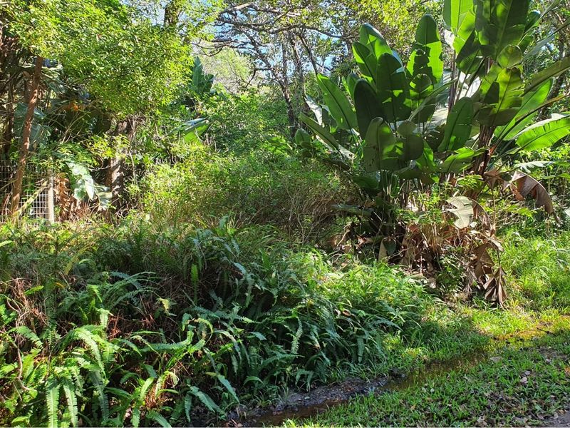 MARINE BEACH , EXCELLENT LOCATION , VACANT LAND IN MARINE BEACH, - Photo 7