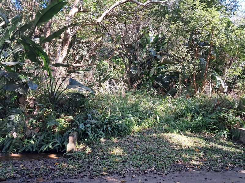 MARINE BEACH , EXCELLENT LOCATION , VACANT LAND IN MARINE BEACH, - Photo 10