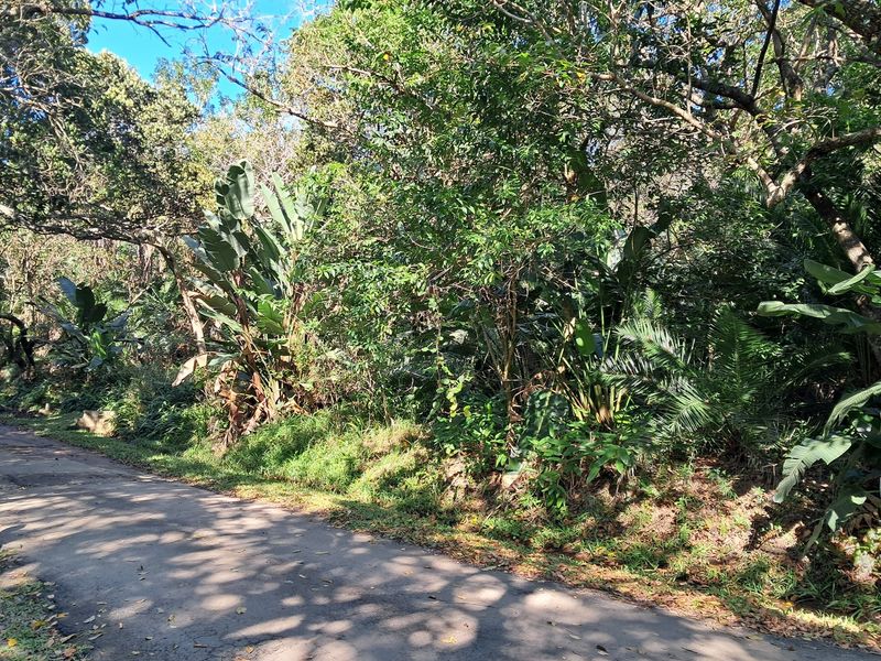 MARINE BEACH , EXCELLENT LOCATION , VACANT LAND IN MARINE BEACH, - Photo 6