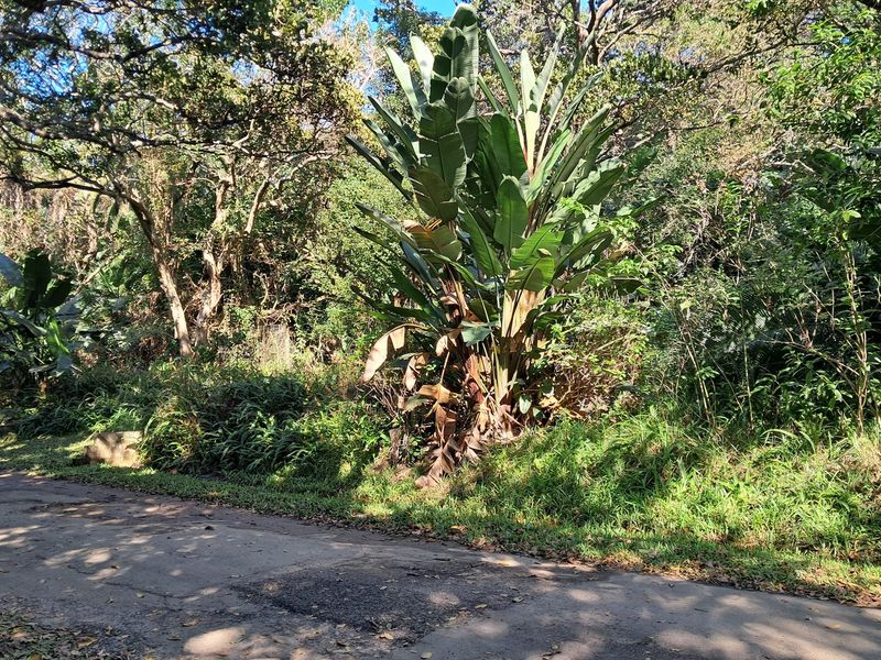 MARINE BEACH , EXCELLENT LOCATION , VACANT LAND IN MARINE BEACH, - Photo 2