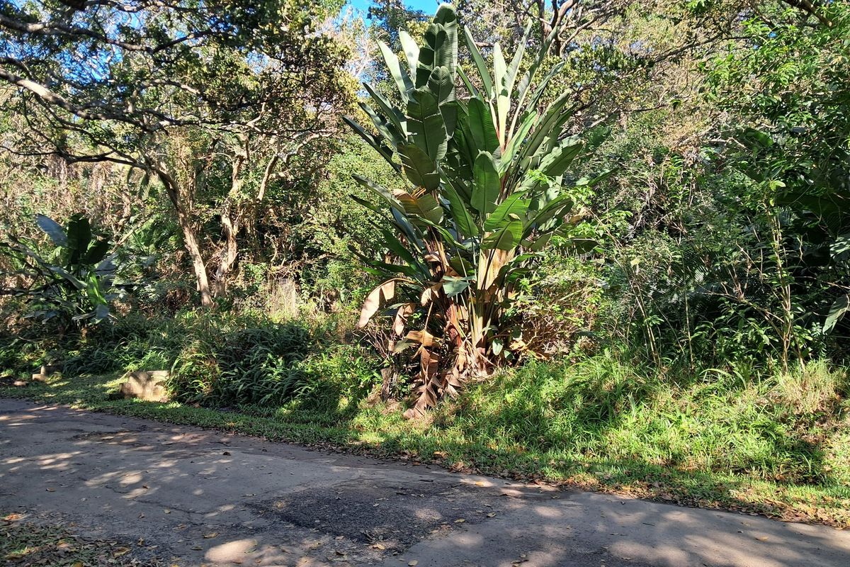 MARINE BEACH , EXCELLENT LOCATION , VACANT LAND IN MARINE BEACH, - Photo 2