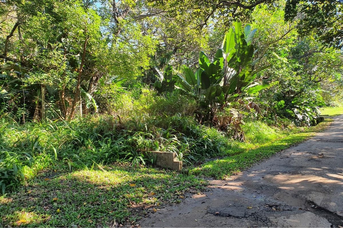 MARINE BEACH , EXCELLENT LOCATION , VACANT LAND IN MARINE BEACH, - Photo 4