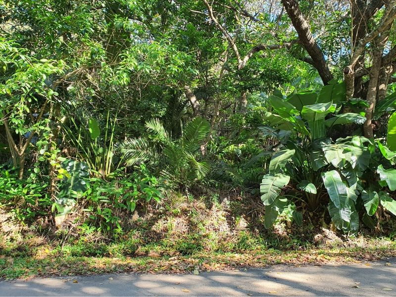 MARINE BEACH , EXCELLENT LOCATION , VACANT LAND IN MARINE BEACH, - Photo 3