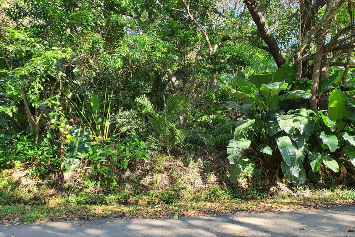 MARINE BEACH , EXCELLENT LOCATION , VACANT LAND IN MARINE BEACH, - Photo 3