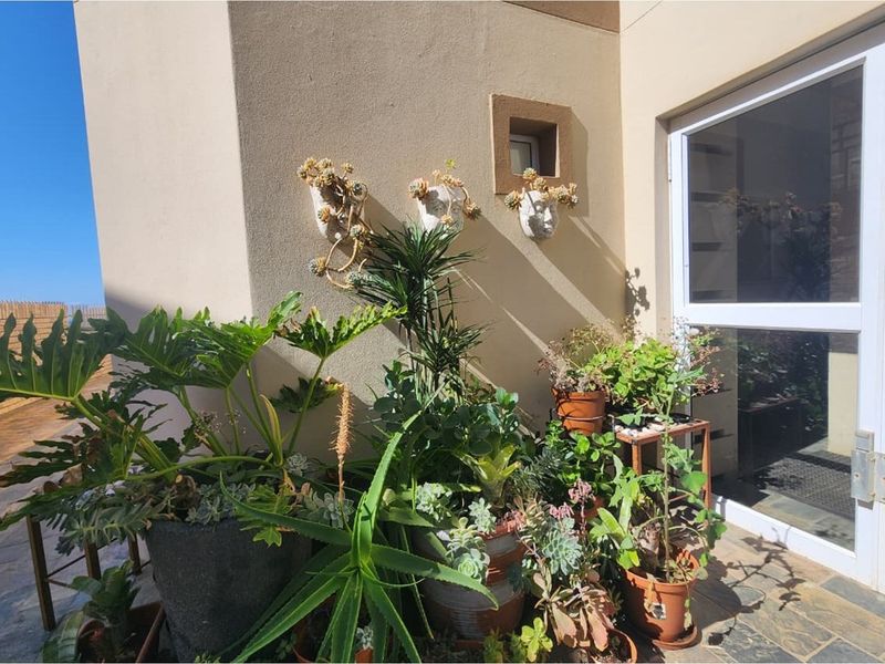 Move In Ready Apartment on Main Beach Furnished and Secure - Photo 2