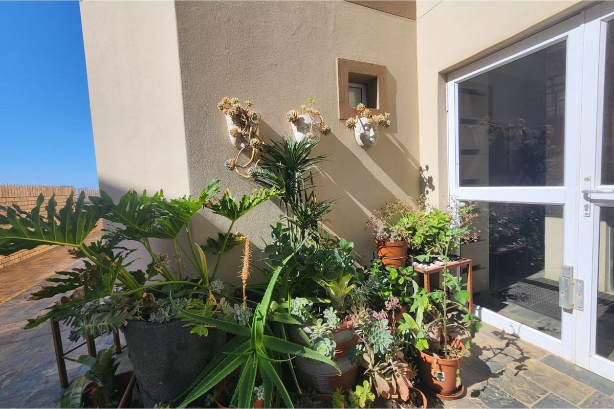 Move In Ready Apartment on Main Beach Furnished and Secure - Photo 2