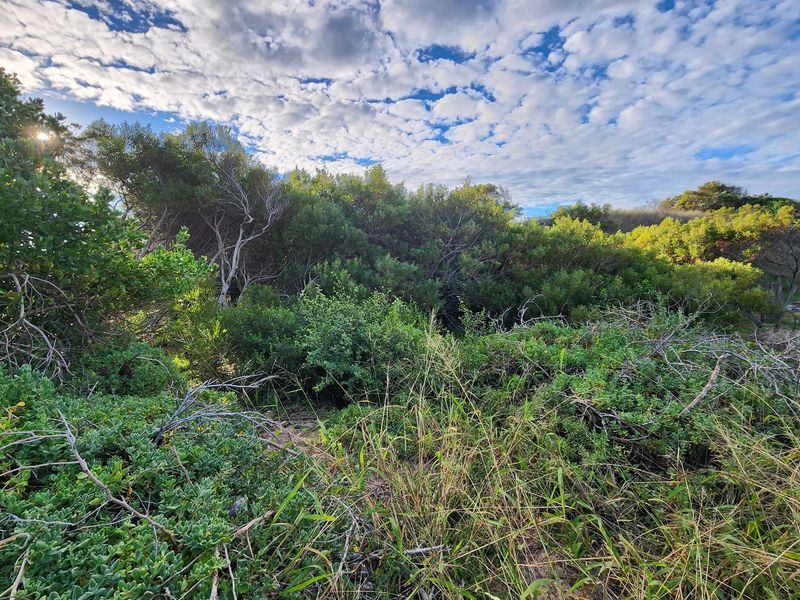 Plot for sale in Paradise Beach with distant sea view - Photo 7