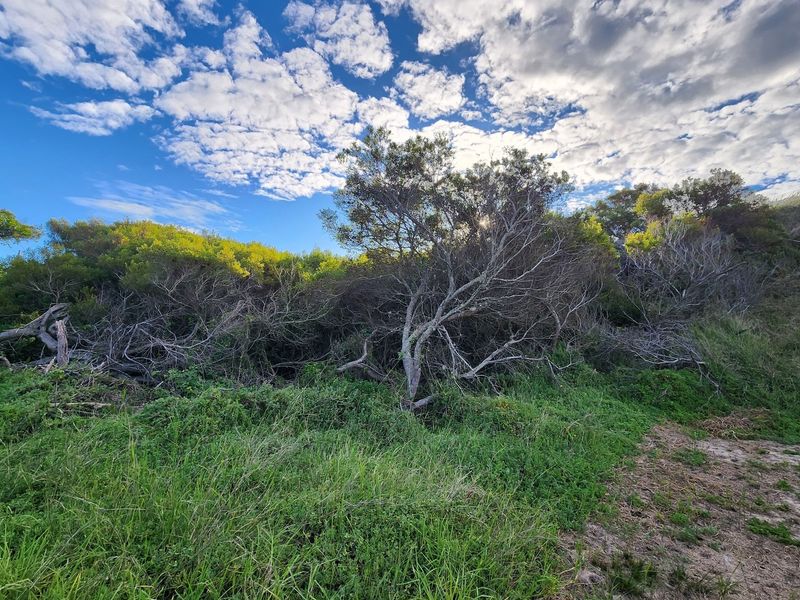 Plot for sale in Paradise Beach with distant sea view - Photo 6