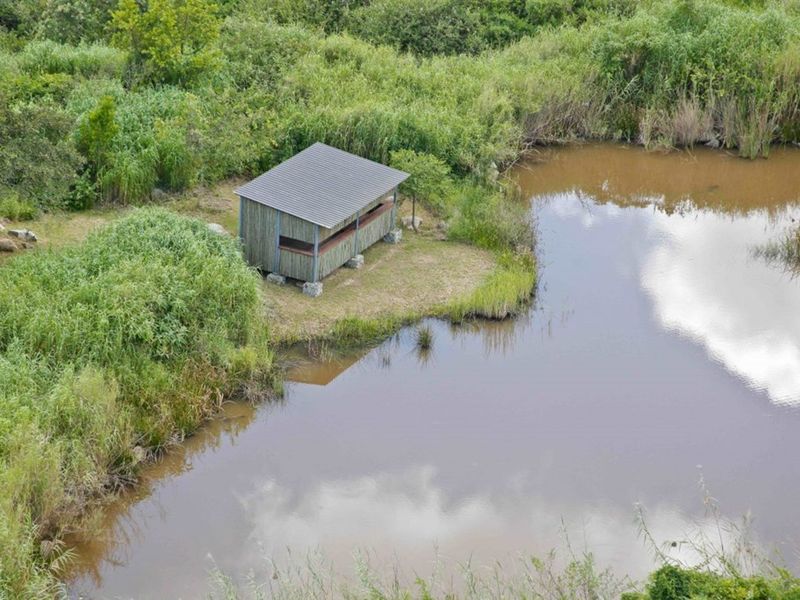 Build Your Dream Oasis with uninterrupted views close to the Kruger National Park - Photo 7