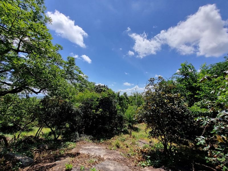 Build Your Dream Oasis with uninterrupted views close to the Kruger National Park - Photo 4