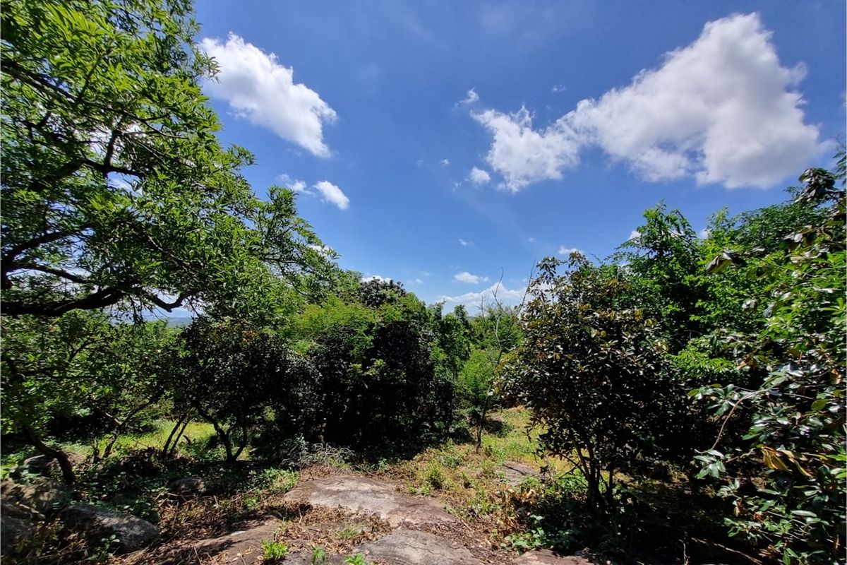 Build Your Dream Oasis with uninterrupted views close to the Kruger National Park - Photo 4