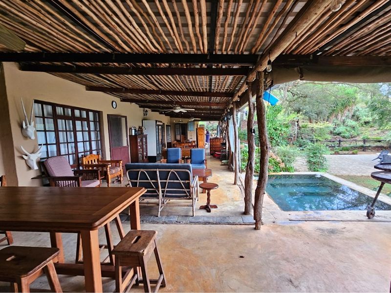 Beautiful 10ha farm with 4 bedroom house, outside buildings, 2 bore holes and trees - Photo 7