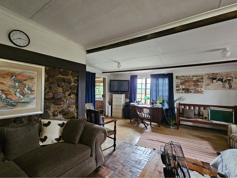 Beautiful 10ha farm with 4 bedroom house, outside buildings, 2 bore holes and trees - Photo 3