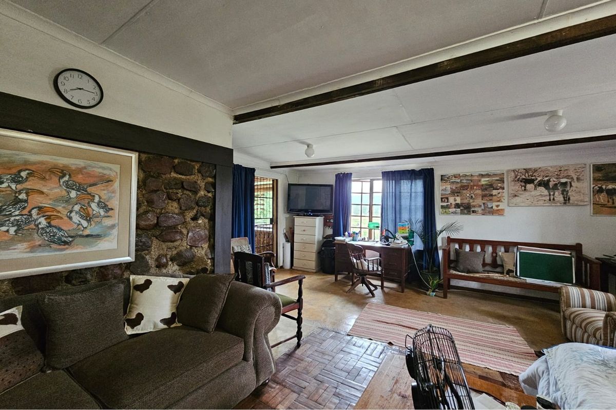 Beautiful 10ha farm with 4 bedroom house, outside buildings, 2 bore holes and trees - Photo 3