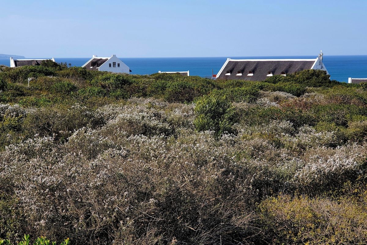 Orbaai Coastal Eco-Estate - Sea Views. Timeless Design. Grounded Living (only 5 stands left) - Photo 2