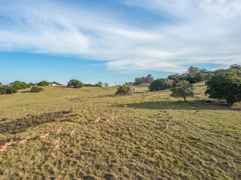 98 hecters of breathtaking farm land in the prestigious Kragga kamma Road and Colleen Glen area - Photo 5