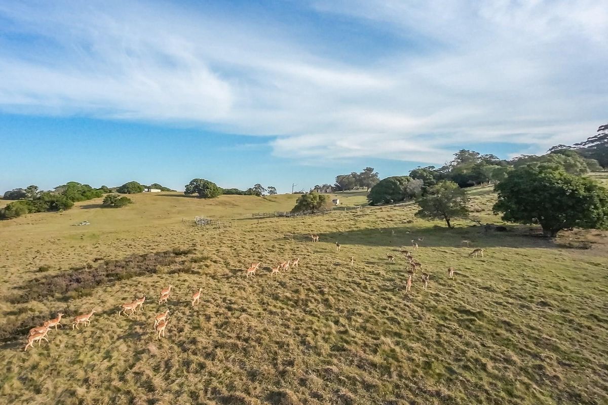 98 hecters of breathtaking farm land in the prestigious Kragga kamma Road and Colleen Glen area - Photo 5