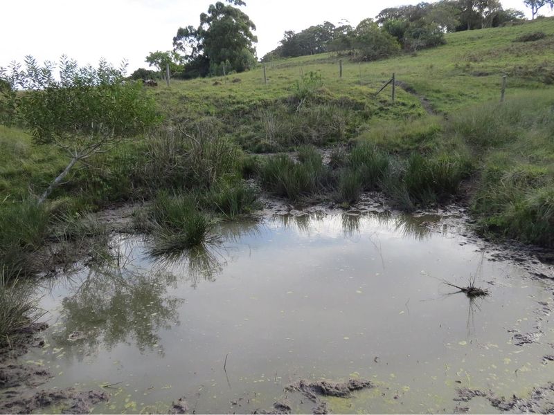 98 hecters of breathtaking farm land in the prestigious Kragga kamma Road and Colleen Glen area - Photo 7