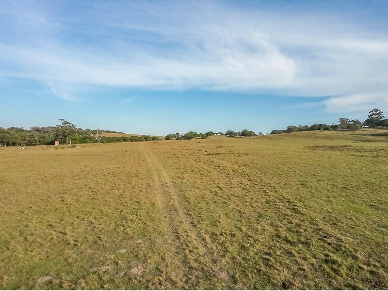 98 hecters of breathtaking farm land in the prestigious Kragga kamma Road and Colleen Glen area - Photo 8