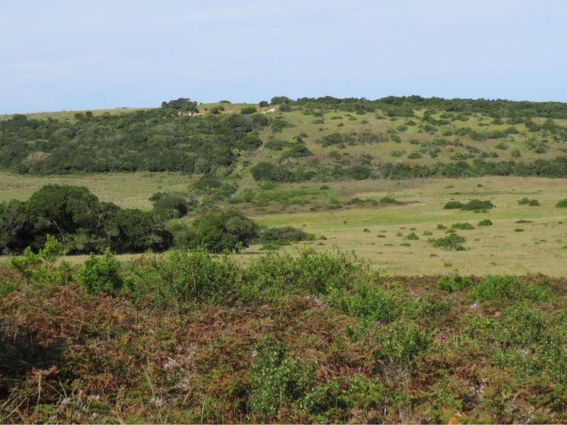 98 hecters of breathtaking farm land in the prestigious Kragga kamma Road and Colleen Glen area - Photo 6