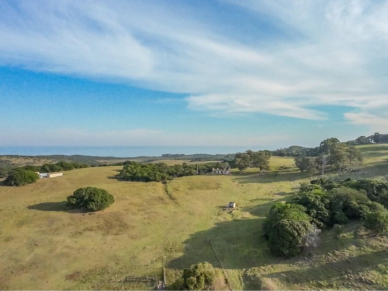 98 hecters of breathtaking farm land in the prestigious Kragga kamma Road and Colleen Glen area - Photo 3