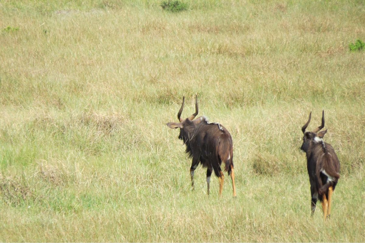 98 hecters of breathtaking farm land in the prestigious Kragga kamma Road and Colleen Glen area - Photo 2