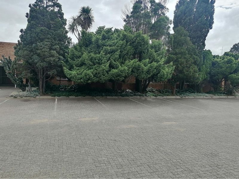 Commercial Property Up For Grabs! - Photo 3