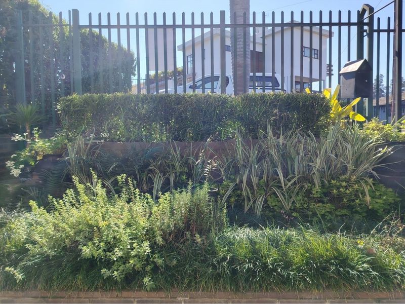 A Rare Find in Newholmes, Pietermaritzburg- Ideal for Home and Business! - Photo 8