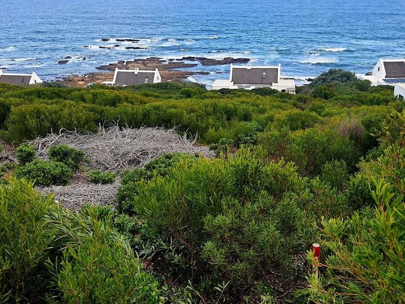 The ocean is calling and I must go - Photo 9