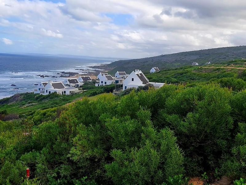 The ocean is calling and I must go - Photo 7